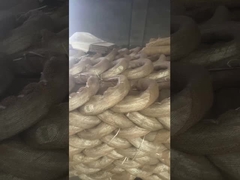 3.0mm Pvc Elektro Galwanizowany Drut U Type Cut Tie