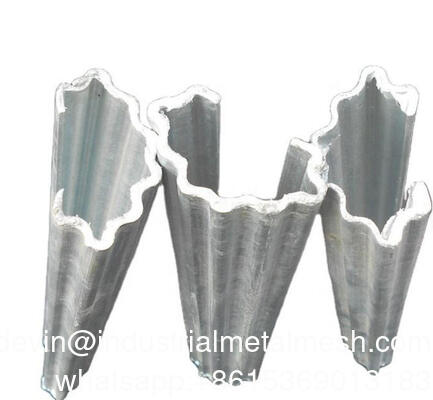 Ocynkowany metalowy słupek do winnicy z owocami smoczymi, palik do winorośli w sadzie