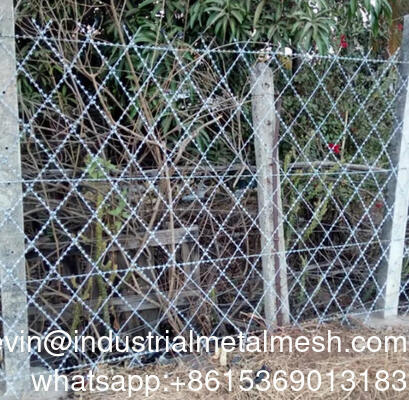 Ściana przeciwkradzieży spawana żelazna drut kolczasty spawana żelazna sieć