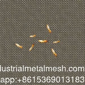 Siatka z drutu ze stali nierdzewnej AISI 304 316 316L odporna na termity