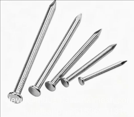 Fast Delivery Common Wood Wire Nails Iron Nail Importer Nails Common