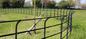 Wysokiej jakości ekran 50x200mm powlekany pcv profesjonalny V fałdy 3d spawany zakrzywiony drut siatkowy metalowy panel ogrodzenie ogrodowe