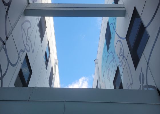 Balustrada Anti Corrosion Stal nierdzewna 316 Siatka druciana dla ochrony i bezpieczeństwa