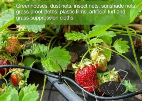 Gorąco zanurzona galwanizowana trawa ogrodowa typu U trawnik trawnik trawnik trawnikowy gwintowy gwint 9 średnica drutu