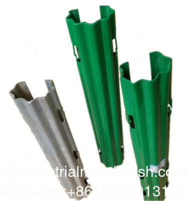 Ocynkowany metalowy słupek do winnicy z owocami smoczymi, palik do winorośli w sadzie