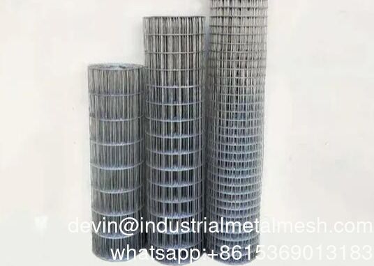 Kwadratowa tkana siatka druciana z żelaza, ocynkowana siatka druciana ze stali, siatka druciana do drobiu, spawana siatka druciana