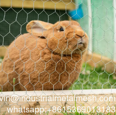 Siatka sześciokątna o otworach 4 cale używana do ogrodzeń ogrodowych