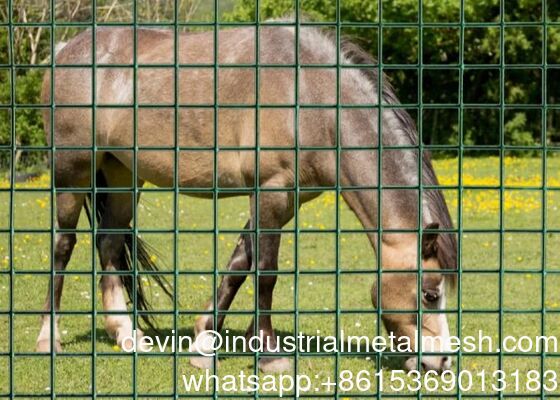 PVC Coated Galvanized Steel Welded Wire Mesh for Garden Agriculture Poultry