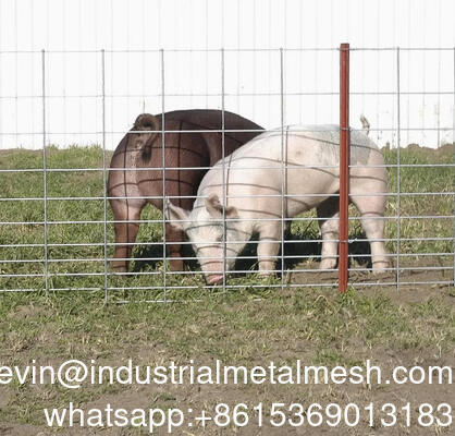 Ocynkowana siatka spawana do ogrodzeń ogrodowych 6mm