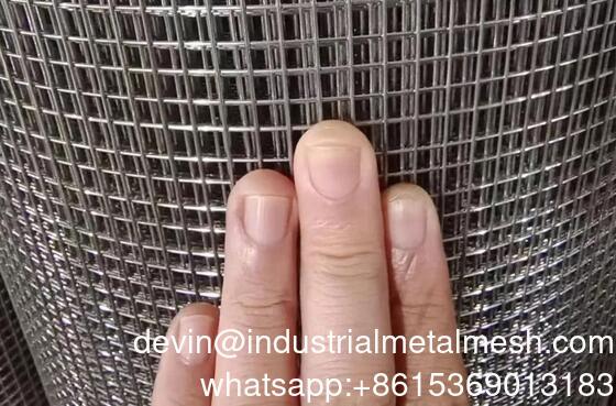 Electro Galvanzied Welded Wire Mesh 1''*1'' and 2''*2''