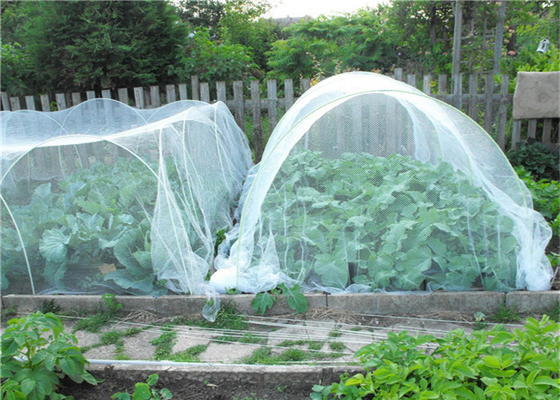 Ogrodnictwo Hdpe Flea Screen Mesh Rolnictwo Roślinność Sieć przeciw owadom 40 Mesh