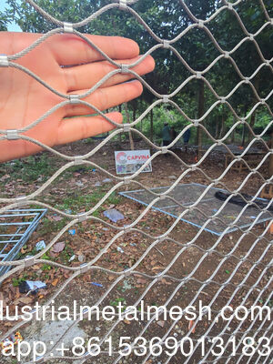 Stainless Steel 304/316 7*7 Zoo Wire Mesh Fence Green Wall Mesh Safety Net Stainless Steel Rope Mesh