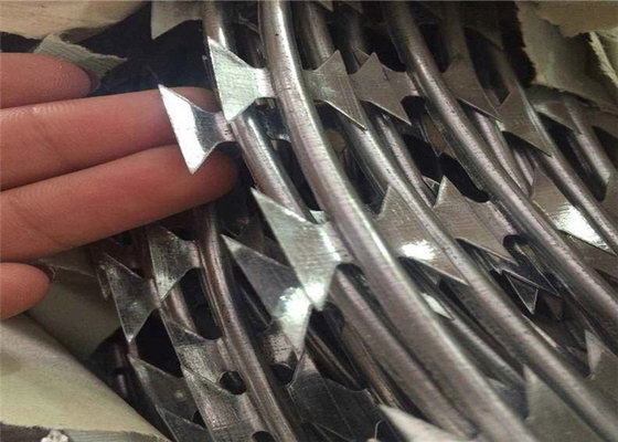 Wysokie bezpieczeństwo Cbt-60 Cbt-65 Concertina Razor Ogrodzenie z drutu kolczastego