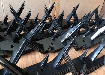 Czarne, powlekane elektrycznie, ocynkowane stalowe kolce zabezpieczające Odm Anti Climb